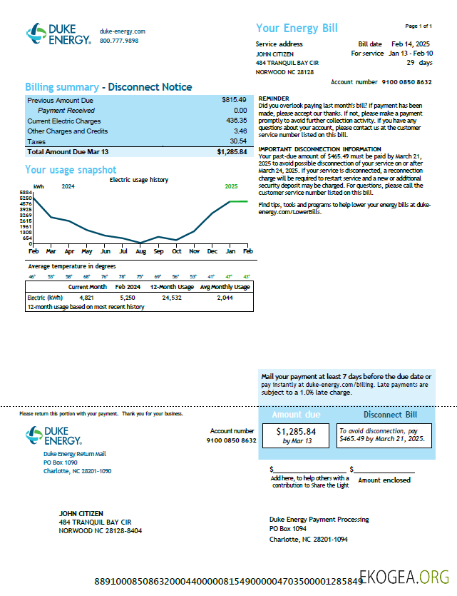USA Duke Energy utility bill template in Word and PDF formats, version 2